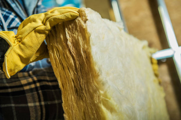 Best Cellulose Insulation in Surf City, NJ
