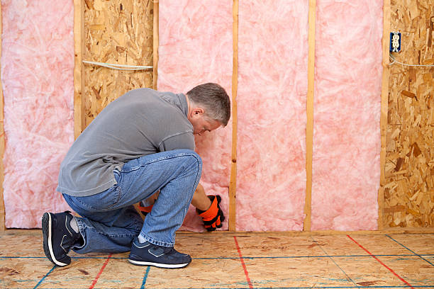 Best Eco-Friendly Insulation in Surf City, NJ
